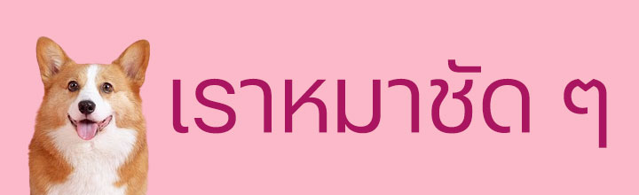 เรื่องของน้องหมา