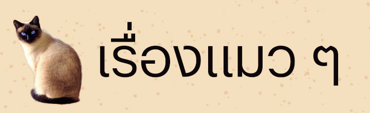 เรื่องของแมว